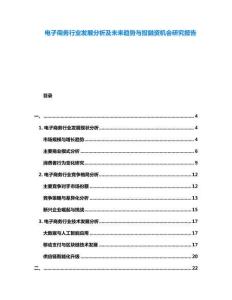 電子商務(wù)行業(yè)發(fā)展分析及未來趨勢與投融資機(jī)會研究報(bào)告