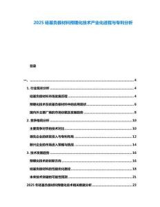 2025硅基負(fù)極材料預(yù)鋰化技術(shù)產(chǎn)業(yè)化進(jìn)程與專(zhuān)利分析