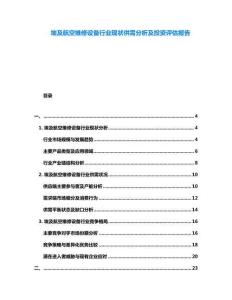 埃及航空維修設(shè)備行業(yè)現(xiàn)狀供需分析及投資評(píng)估報(bào)告