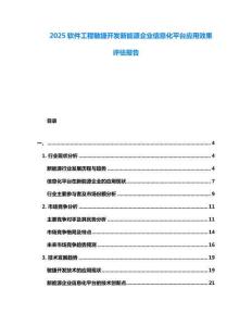 2025軟件工程敏捷開發(fā)新能源企業(yè)信息化平臺(tái)應(yīng)用效果評(píng)估報(bào)告