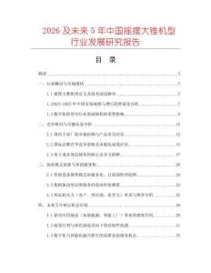 2026及未來5年中國搖擺大錐機型行業發展研究報告
