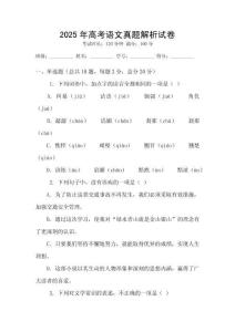 2025年高考語(yǔ)文真題解析試卷