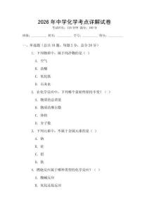 2026年中學(xué)化學(xué)考點(diǎn)詳解試卷