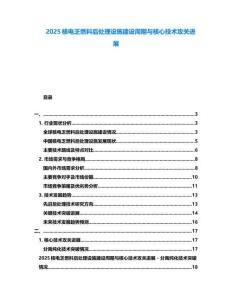 2025核電乏燃料后處理設(shè)施建設(shè)周期與核心技術(shù)攻關(guān)進(jìn)展
