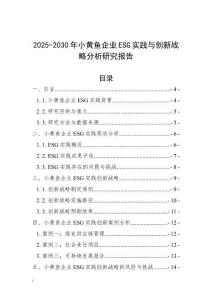 2025-2030年小黃魚企業ESG實踐與創新戰略分析研究報告