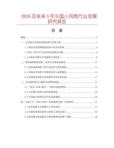 2026及未來5年中國(guó)小風(fēng)筒行業(yè)發(fā)展研究報(bào)告