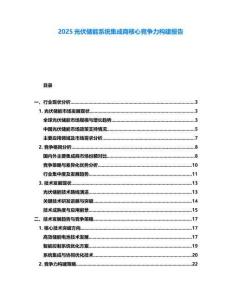 2025光伏儲能系統(tǒng)集成商核心競爭力構(gòu)建報告