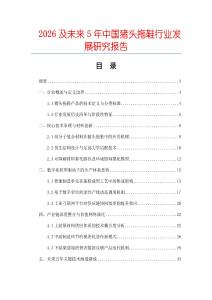 2026及未來(lái)5年中國(guó)豬頭拖鞋行業(yè)發(fā)展研究報(bào)告
