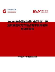 2026年中國油灰墊（膩子墊）行業(yè)發(fā)展現(xiàn)狀與市場占有率及排名研究分析報告
