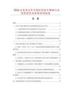 2026及未來5年中國(guó)U形鐵片螺母行業(yè)投資前景及策略咨詢報(bào)告