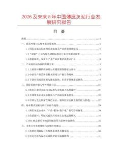 2026及未来5年中国薄层灰泥行业发展研究报告