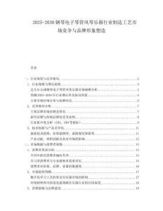 2025-2030鋼琴電子琴管風(fēng)琴樂器行業(yè)制造工藝市場(chǎng)競(jìng)爭(zhēng)與品牌形象塑造