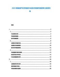 2025新能源汽車充電樁行業(yè)技術(shù)突破市場競爭力投資方向