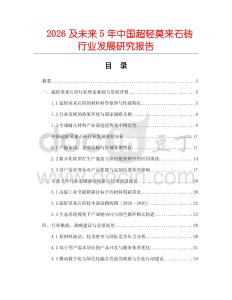 2026及未來5年中國超輕莫來石磚行業發展研究報告