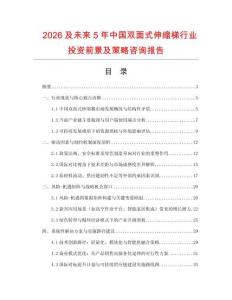 2026及未来5年中国双面式伸缩梯行业投资前景及策略咨询报告