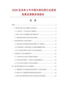 2026及未來5年中國木棕掃把行業投資前景及策略咨詢報告