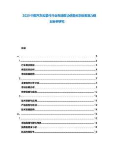 2025中國汽車改裝件行業(yè)市場現(xiàn)狀供需關(guān)系投資潛力規(guī)劃分析研究
