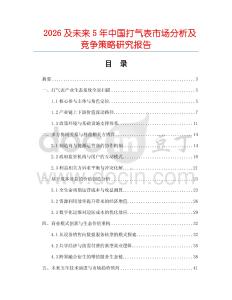 2026及未來5年中國打氣表市場分析及競爭策略研究報告