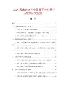2026及未来5年中国画面分割器行业发展研究报告