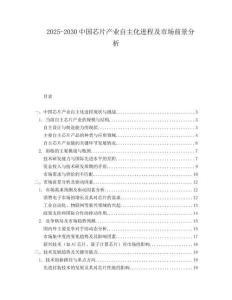 2025-2030中國芯片產業自主化進程及市場前景分析