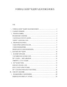 中國核電主泵國產化進程與技術突破分析報告