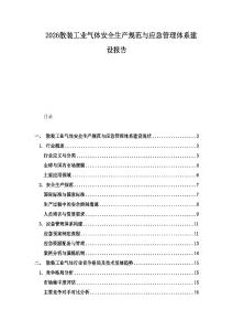 2026散裝工業(yè)氣體安全生產(chǎn)規(guī)范與應(yīng)急管理體系建設(shè)報(bào)告