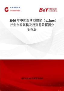 2026年中國超薄型銅箔（≤12μm）行業(yè)市場規(guī)模及投資前景預(yù)測分析報告