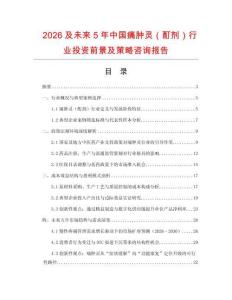 2026及未來5年中國痛腫靈（酊劑）行業投資前景及策略咨詢報告
