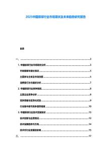 2025中國排球行業市場現狀及未來趨勢研究報告