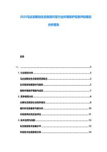 2025馬達加斯加生態旅游開發行業環境保護投資評估規劃分析報告