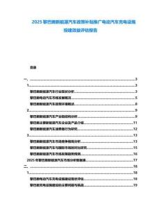 2025黎巴嫩新能源汽車政策補貼推廣電動汽車充電設施投建效益評估報告