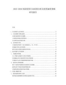 2025-2030風險投資行業政策分析及投資融資策略研究報告