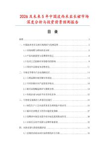 2026及未來5年中國波西米亞長裙市場深度分析與投資前景預測報告
