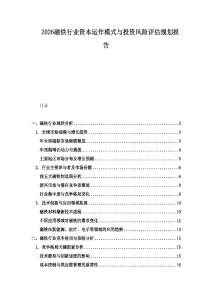 2026磁鐵行業資本運作模式與投資風險評估規劃報告