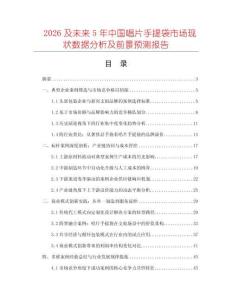 2026及未來5年中國唱片手提袋市場現(xiàn)狀數(shù)據(jù)分析及前景預(yù)測報(bào)告