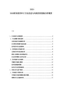 2025-2030財(cái)務(wù)報表審計(jì)方法改進(jìn)與風(fēng)險防控措施分析概要