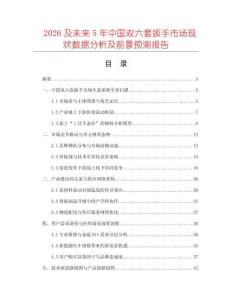 2026及未來5年中國雙六套扳手市場現(xiàn)狀數(shù)據(jù)分析及前景預(yù)測報告