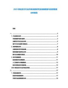 2025移動(dòng)支付行業(yè)市場(chǎng)深度研究及發(fā)展前景與投資前景分析報(bào)告