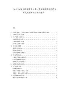 2025-2030信息消費(fèi)電子支付市場(chǎng)現(xiàn)狀需求供給分析發(fā)展預(yù)測(cè)戰(zhàn)略評(píng)估報(bào)告