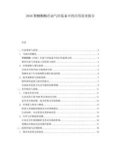 2026聚醚酮酮在油气田装备中的应用前景报告