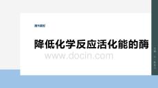 2026屆高考生物一輪總復(fù)習(xí)課件：第三單元　第9課時(shí)　降低化學(xué)反應(yīng)活化能的酶