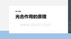 2026屆高考生物一輪總復(fù)習(xí)課件：第三單元　第13課時(shí)　光合作用的原理