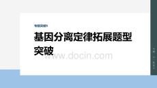 2026屆高考生物一輪總復(fù)習(xí)課件：第五單元　專(zhuān)題突破6　基因分離定律拓展題型突破