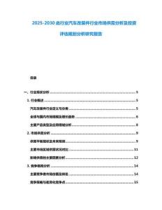 2025-2030此行業汽車改裝件行業市場供需分析及投資評估規劃分析研究報告