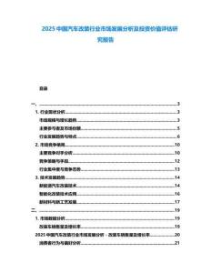 2025中國汽車改裝行業市場發展分析及投資價值評估研究報告