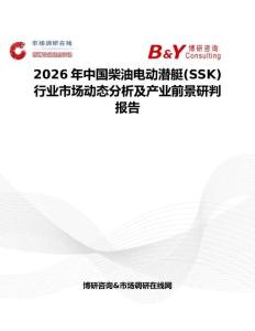 2026年中國柴油電動潛艇(SSK)行業市場動態分析及產業前景研判報告