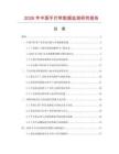 2026年中國手打帶數據監測研究報告