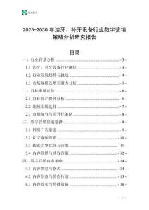 2025-2030年潔牙、補牙設備行業數字營銷策略分析研究報告