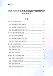 2025-2030年氨茶碱片行业数字营销策略分析研究报告