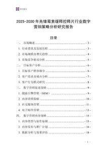 2025-2030年先鋒霉素緩釋控釋片行業數字營銷策略分析研究報告